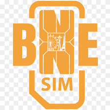 BNESIM logo